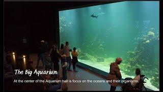 Švedija: Sjöfartsmuseet Akvariet – Jūrų muziejus – akvariumas [Goteburgas]