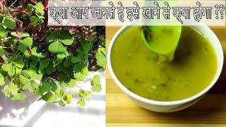 Amruli Shaag Recipe | चांगेरी पौधे के औषधिय फायदे | Junglee Medicine for Fever |