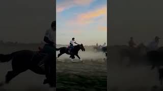 Unexpected Lead: One Horse Surprises the Competition!