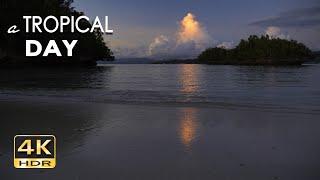 4K HDR A Tropical Day - Peaceful Moments on a Wild Tropical Island - Relaxing Ocean Wave Sounds