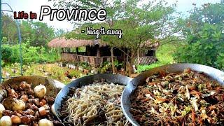 How we celebrate birthday in Province | Simpleng buhay sa probinsya | Biag ti Away by Balong