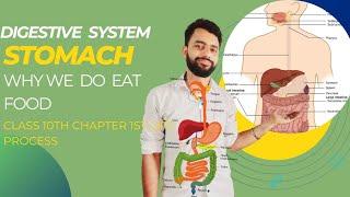 Heterotrophic nutrition (class 10th)|| Digestive system || Alimentary canal