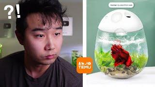 Fish Tanks are getting crazy | Fish Tank Review 235