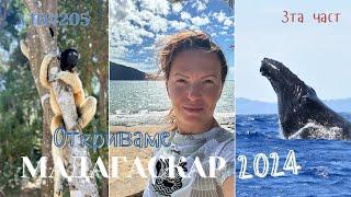 Откриваме Мадагаскар 2024 III част I Travel I Студио ШкафА I VLOG #205 #madagascar #мадагаскар