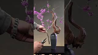 紫荆与沉木中式插花 瓶花教程#插花 ##东方插花 #宋代
