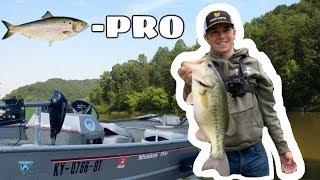 Taking out Cole's NEW BOAT + BIG ONE! Beech Fork