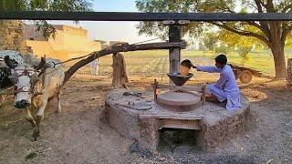 Old Technology of Stone Flourmill | Bull Powered Flour Mill | Cold Pressed Wheat Flouring