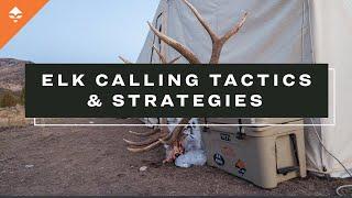 Elk Calling Strategies You Need To Know