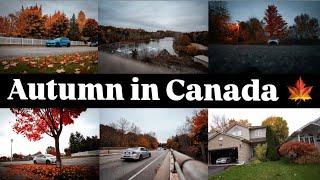 The Beauty of Canadian Autumn