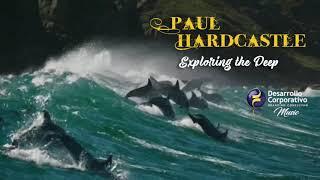 PAUL HARDCASTLE The Best Selection of Smooth Jazz and Chill Music