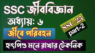 হৃৎপিণ্ডের গঠন || SSC জীববিজ্ঞান || জীবে পরিবহন || part-2 || SSC Biology Chapter 6 || Rifat Academy