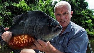 Jeremy's Largest Piranha Catch Ever | PIRANHA | River Monsters