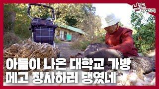 아들이 나온 고려대 가방 메고 장사하러 댕였네 [남도지오그래피｜241113]