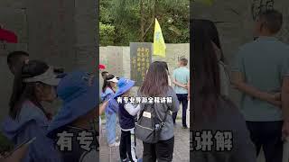 去张家界玩，怎样选择靠谱的旅行团呢？#张家界旅游攻略 #总要来一趟张家界吧 #天门山 #旅游大玩家 #旅行大玩家