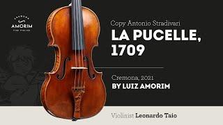 Violin by Luiz Amorim, copy of Antonio Stradivari, La Pucelle, 1709