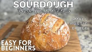 Fresh Milled Whole Wheat Sourdough Bread for Beginners - Freshly Milled Flour Small Boule - FMF