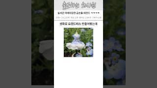 감탄만나오는 레전드 금손들 ㅋㅋㅋㅋ