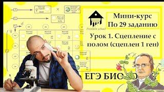 Мини-курс по задачам по генетике (29 задание) - УРОК 1 |ЕГЭ БИОЛОГИЯ|Freedom|