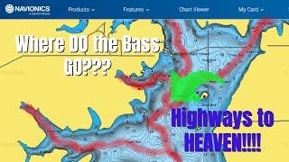 BASS FISHING 101 - Ep. 2 - Where do the BASS GO?? - Seasonal areas that won't let YOU DOWN!!