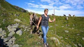 Montafon.TV - HOJA. Ein Alpsommer im Montafon