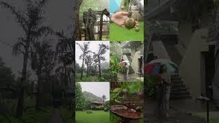 Monsoons at Malhar Machi Luxury Mountain Resort | Monsoon Getaway