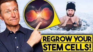 Regenerate Your Stem Cells