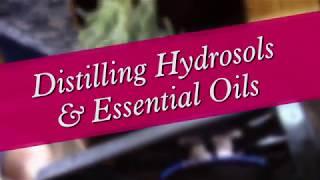 Distilling Hydrosols & Essential Oils