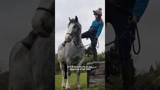Always set your horse up for success!  #naturalhorsemanship #shorts