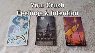  Your Crush Feelings & Intention  သင့် crushရဲ့ သင့်အ​ပေါ် ခံစားချက်နဲ့ ရည်ရွယ်ချက်  Timeless