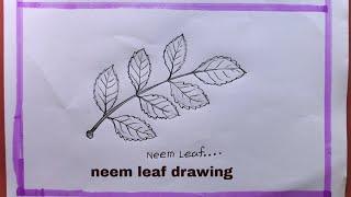 How To Draw Neem Leaf Easy Step By Step/Neem Leaf Drawing