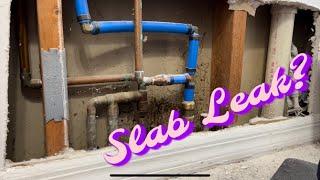 Slab Leak? Re Routing a water line through attic.