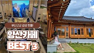 양산카페 감성 핫플 베스트 3 추천 ｜양산 가볼만한곳, 부산근교카페