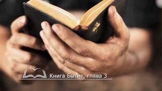 Библия онлайн — чтение: книга Бытие, глава 3, Ветхий Завет (Русский Синодальный Перевод)