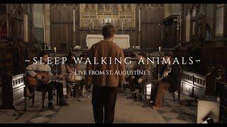 Wild Folk (Live at St. Augustine's) - Sleep Walking Animals