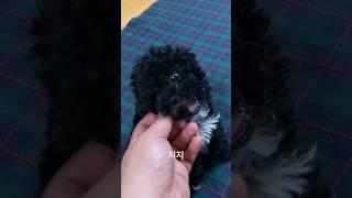 어릴때 지지#shorts