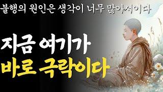 다 부질없다 행복하려면 이렇게 살아라 | 불행의 원인은 생각이 너무 많아서이다 | 오디오북 I 인생명언 I 삶의지혜 I 통찰력 I 노후 | 조언 |처세술| 석가모니 부처님 뉴진스님