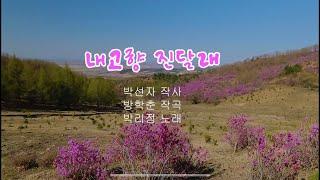 영상가요 - 내고향 진달래 (노래: 박리정. 영상제작: 리하)