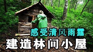 男人在野外慢节奏建造林间小屋，感受清风雨露绿草星辰，它将成为我赖以生存的庇护所！