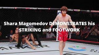 Shara Magomedov DEMONSTRATES his STRIKING and FOOTWORK