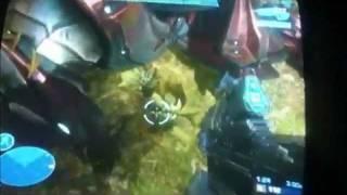 Halo Reach Glitch/Easter Egg Baby Jackal