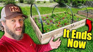 He Stole Food From My Garden!