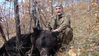 Fall Amur bear hunt with Sergey outfitter