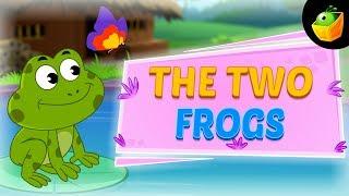 The Friendly Frog | + More Fairy Tales & Moral Stories in Magicbox Animation