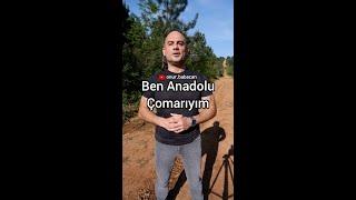 Ben Anadolu Çomarıyım