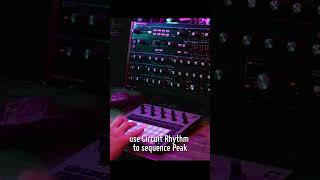 Playing and sampling with Circuit Rhythm and Peak - #MadeWithNovation