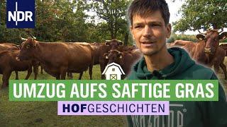 Trockene Böden vertreiben das Harzer Höhenvieh | Die Nordreportage: Hofgeschichten (197) | NDR