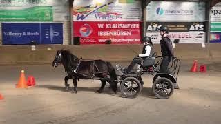 Fahrturnier Ibbenbüren 9.3.2025 (Sicon Cup)