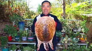 The BIGGEST Soft-shell Turtle Ever! Cooked with Homemade Mud Oven! | Uncle Rural Gourmet