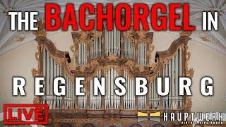  Organ Concert on the BACHORGEL, Regensburg (Pipeloops) // Richard McVeigh