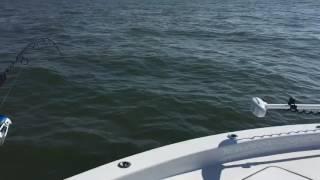 St Simons island tarpon fishing with Capt. Scott Owens